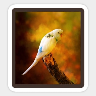 White Budgie Parakeet Sticker